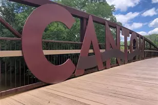 332 Pine Acres Dr, Canton, GA 30115 - Photo 25