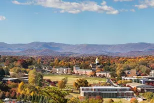 121 Gold Rush Run, Dahlonega, GA 30533 - Photo 91