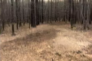 166 Lake Crest Dr, Sparta, GA 31087 - Photo 1