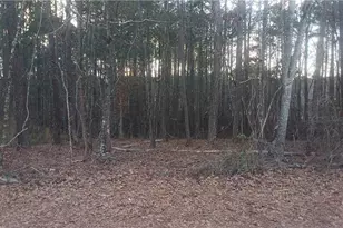 130 Harville Rd, Covington, GA 30016 - Photo 1