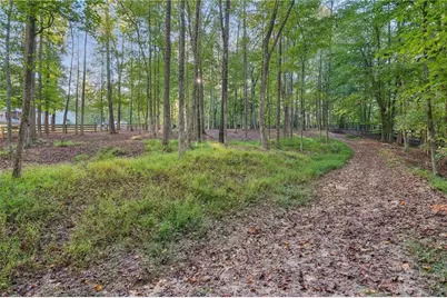 889 Freehome Road, Canton, GA 30115 - Photo 59