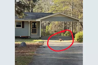 5291 Driskell Drive, Winston, GA 30187 - Photo 43