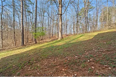 314 Calusa Place, Ball Ground, GA 30107 - Photo 35