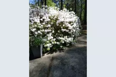 3319 Stewart Road, Monroe, GA 30655 - Photo 23