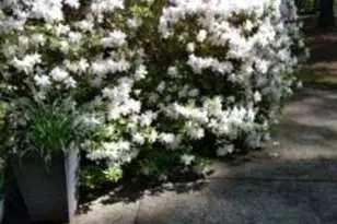 3319 Stewart Rd, Monroe, GA 30655 - Photo 23