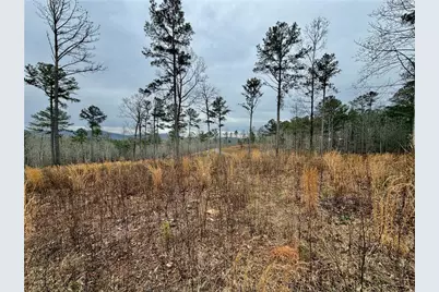 347 Timbercreek Trail, Talking Rock, GA 30175 - Photo 3