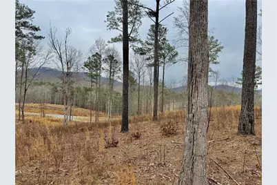 347 Timbercreek Trail, Talking Rock, GA 30175 - Photo 9