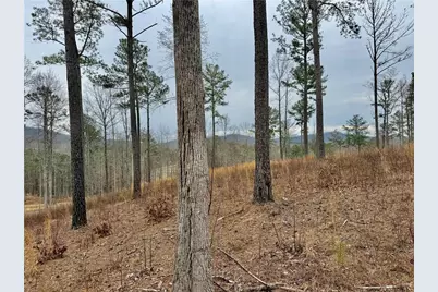 347 Timbercreek Trail, Talking Rock, GA 30175 - Photo 11