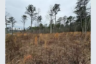 347 Timbercreek Trail, Talking Rock, GA 30175 - Photo 5