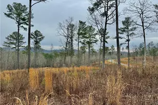 347 Timbercreek Trail, Talking Rock, GA 30175 - Photo 1