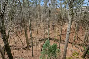 2910 Leeds Garden Ln, Alpharetta, GA 30022 - Photo 43