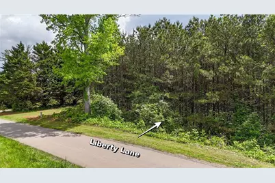 0 Liberty Lane, Jasper, GA 30143 - Photo 3