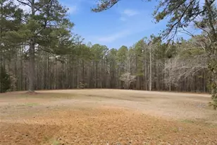 675 Sandy Ridge Rd, McDonough, GA 30252 - Photo 57