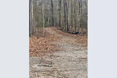 0 Skelton Road, Hoschton, GA 30548 - Photo 3