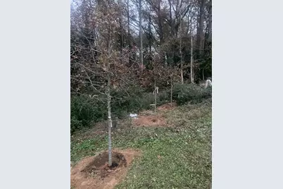 0 Hawthorne Avenue, Smyrna, GA 30080 - Photo 9