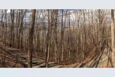 0 Frog Pond Road, Hiawassee, GA 30546 - Photo 5