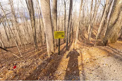 0 Frog Pond Road, Hiawassee, GA 30546 - Photo 13