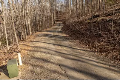 0 Frog Pond Road, Hiawassee, GA 30546 - Photo 9