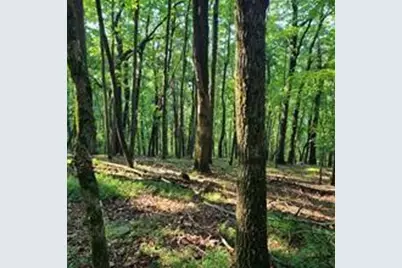 101 Deer Run, Big Canoe, GA 30143 - Photo 5