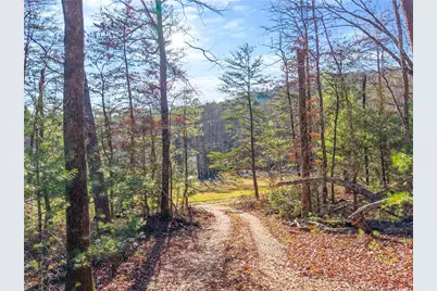 121 Waterfalls Way, Clarkesville, GA 30523 - Photo 13