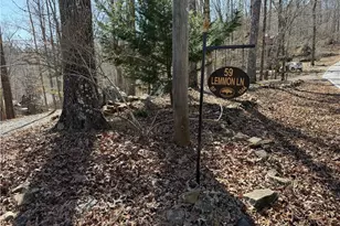 59 Lemmon Ln, Ellijay, GA 30540 - Photo 29