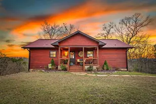 196 S Williamstown Ridge, Mineral Bluff, GA 30559 - Photo 3