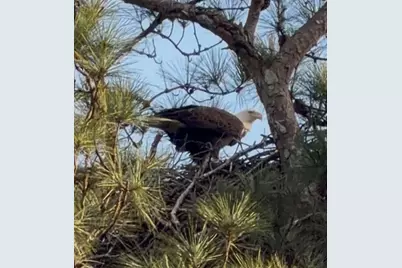 2966 Riviera Drive NW, Conyers, GA 30012 - Photo 3