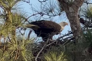 2966 Riviera Dr NW, Conyers, GA 30012 - Photo 3