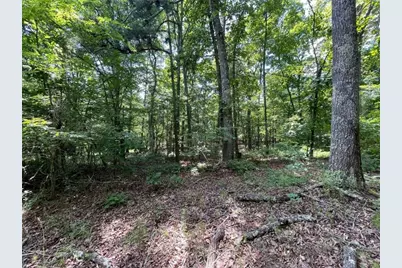 0 Fallen Branch Circle, Rome, GA 30161 - Photo 33