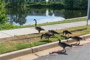 557 Aberdeen Mdw Ln, Acworth, GA 30102 - Photo 43