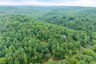 338 Woody Tucker Rd, Dawsonville, GA 30534 - Photo 67