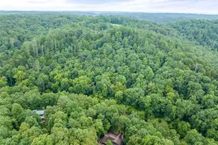 338 Woody Tucker Rd, Dawsonville, GA 30534 - Photo 49
