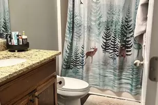 5710 Rocky Ridge Run, Gainesville, GA 30506 - Photo 11