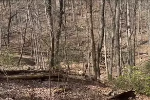 0 Valley View Dr, Jasper, GA 30143 - Photo 1