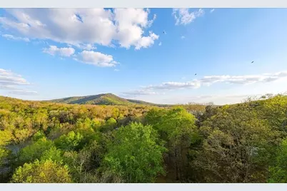 78 Blue Pine Court, Jasper, GA 30143 - Photo 47