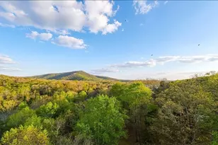 78 Blue Pine Ct, Jasper, GA 30143 - Photo 47