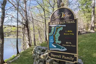 78 Blue Pine Ct, Jasper, GA 30143 - Photo 57