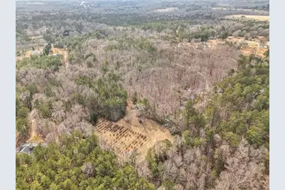 490 Dorsey Road, Hampton, GA 30228 - Photo 67