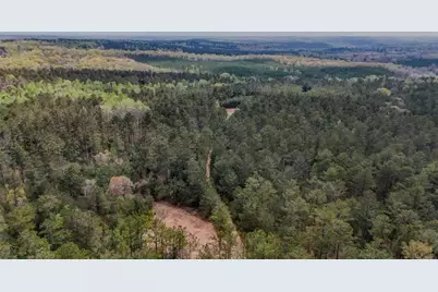 0 Hwy 166 Road, Carrollton, GA 30116 - Photo 3