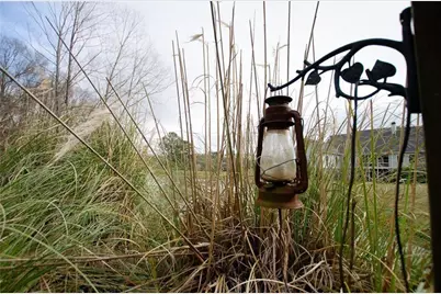 1331 Barrows Grove Road, Buckhead, GA 30625 - Photo 41