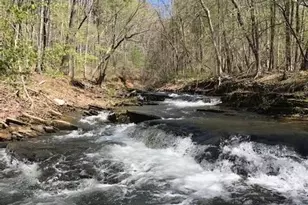 64 Fairview Ct, Jasper, GA 30143 - Photo 81