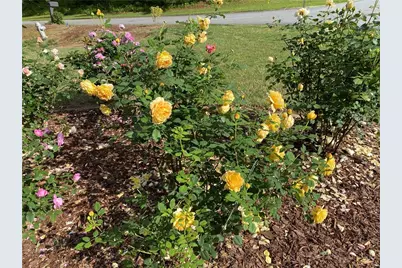 5221 La Paloma Drive SW, Lilburn, GA 30047 - Photo 39