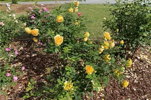 5221 La Paloma Dr SW, Lilburn, GA 30047 - Photo 39