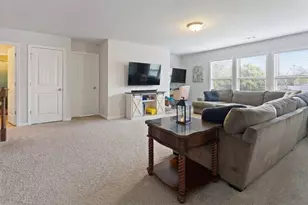 206 White Cloud Run, Canton, GA 30114 - Photo 29