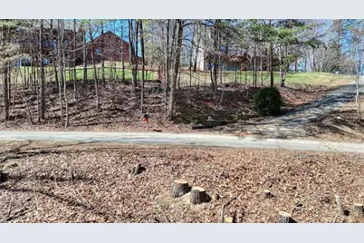 Lot 10 Butternut S/D / Firefly Ridge, Blairsville, GA 30512 - Photo 9