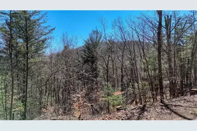 Lot 10 Butternut S/D / Firefly Ridge, Blairsville, GA 30512 - Photo 3