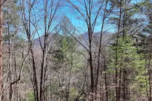 Lot 10 Butternut S/D / Firefly Ridge, Blairsville, GA 30512 - Photo 1