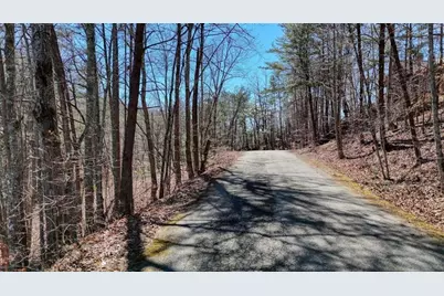 Lot 10 Butternut S/D / Firefly Ridge, Blairsville, GA 30512 - Photo 5
