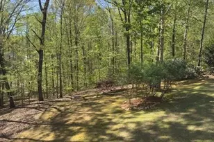 7032 Camp Falls Ct, Winston, GA 30187 - Photo 41
