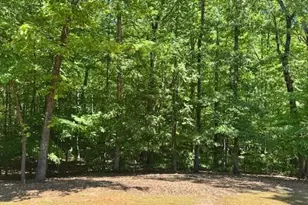 7032 Camp Falls Ct, Winston, GA 30187 - Photo 49